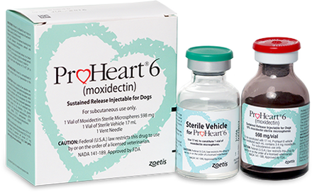 ProHeart 6. Heartworm injection.